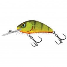 Воблер SALMO RATTLIN HORNET 55F, 55 мм, 10.5 г, плавающий