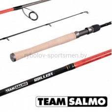 Спиннинг Team Salmo BALLIST 12 5.90, одночастный, тест 3-12 г, вес 98 г, 180 см