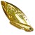 Gold/Gold