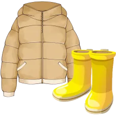 Одежда и обувь